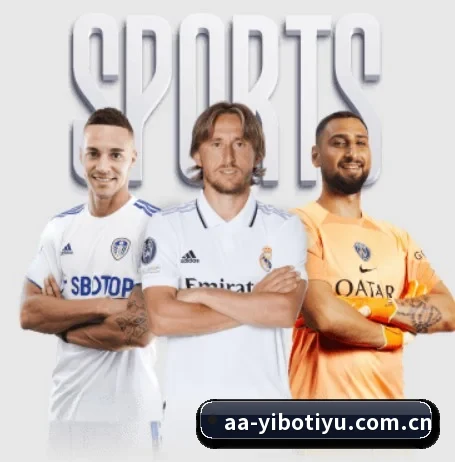 五大服务分区,信息按项目分类 | YIBOSPORTS