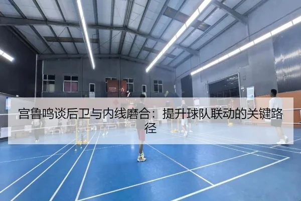 宫鲁鸣谈后卫与内线磨合:提升球队联动的关键路径 - YIBOSPORTS
